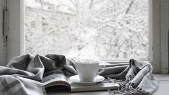 Book and mug in front of a frosty window